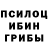 Галлюциногенные грибы Cubensis Vladimir Tishaninov