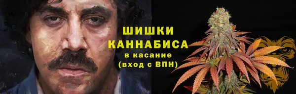 дживик Киренск