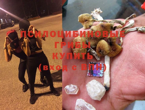 спиды Киреевск